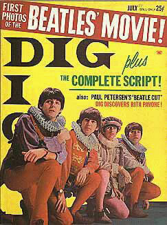 Dig