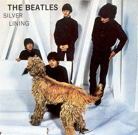 The Beatles